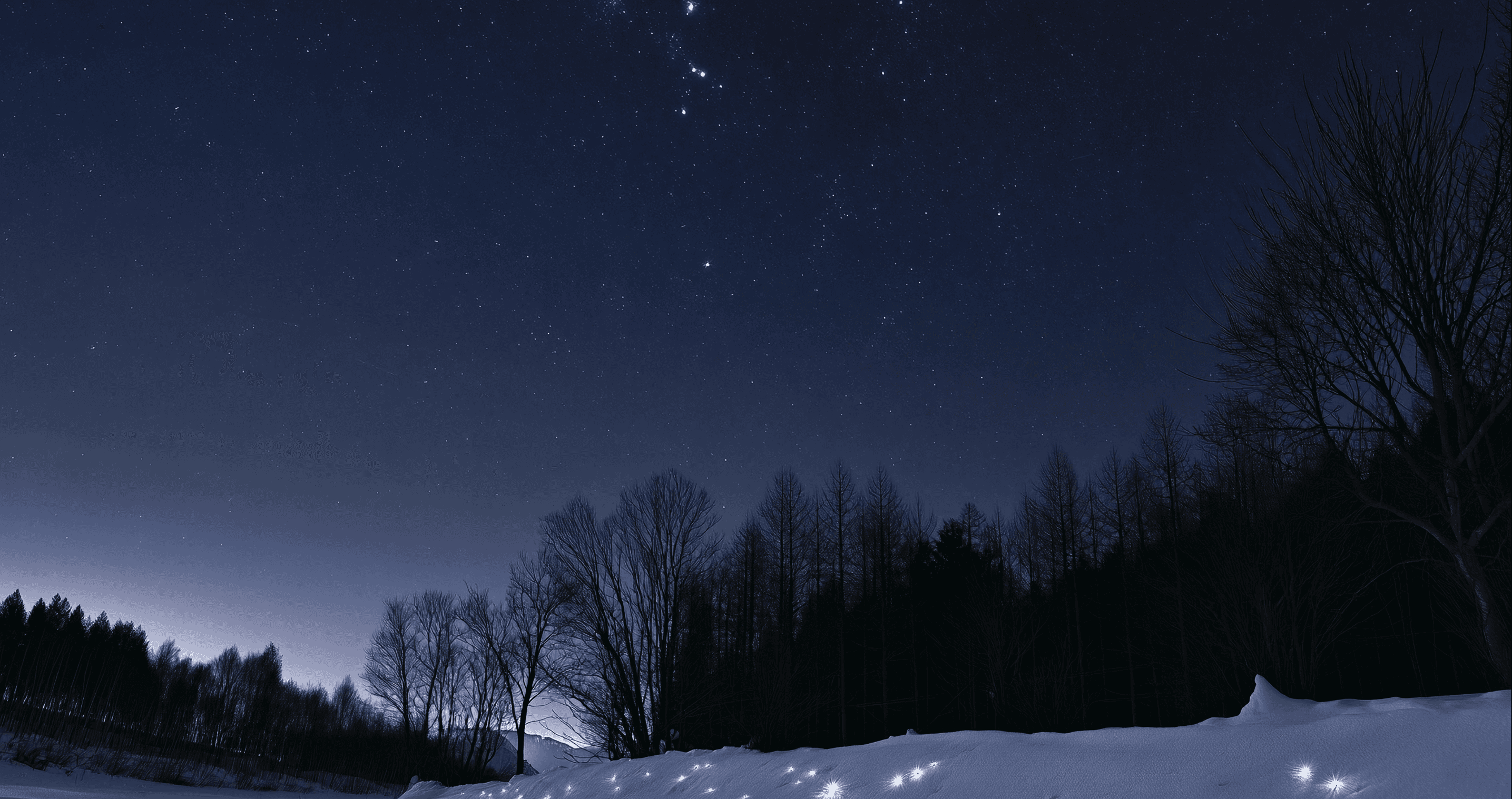 冬の星空 -Winter Starry Sky-